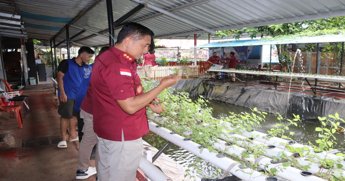 Kalapas Karang Intan Tinjau Budidaya Hidroponik Daun Mint, Dorong WBP Manfaatkan Tanaman Herbal Bermanfaat