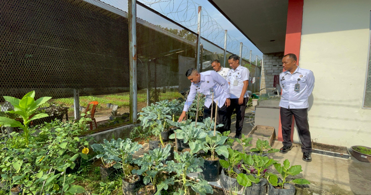Kalapas Karang Intan Pantau Kebun Pasca-Rehab: Kembang Kol Tumbuh Subur, WBP Siap Mandiri