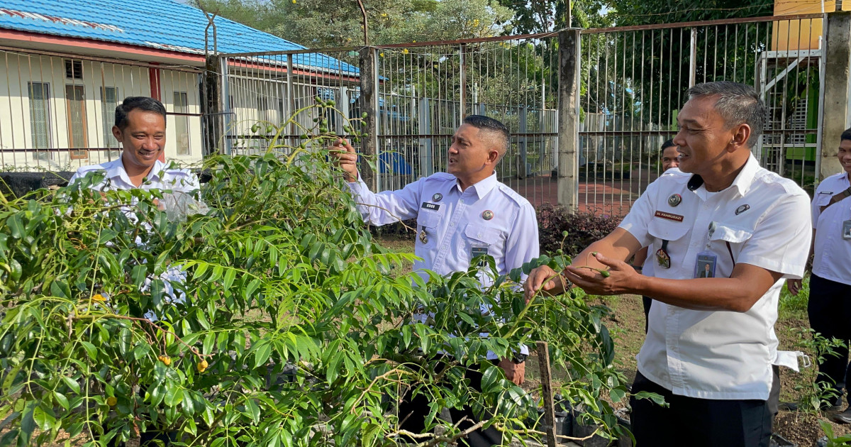 Kalapas Karang Intan Pantau Kedondong di Kebun Pascarehabilitasi: Bekal Keterampilan WBP untuk Mandiri