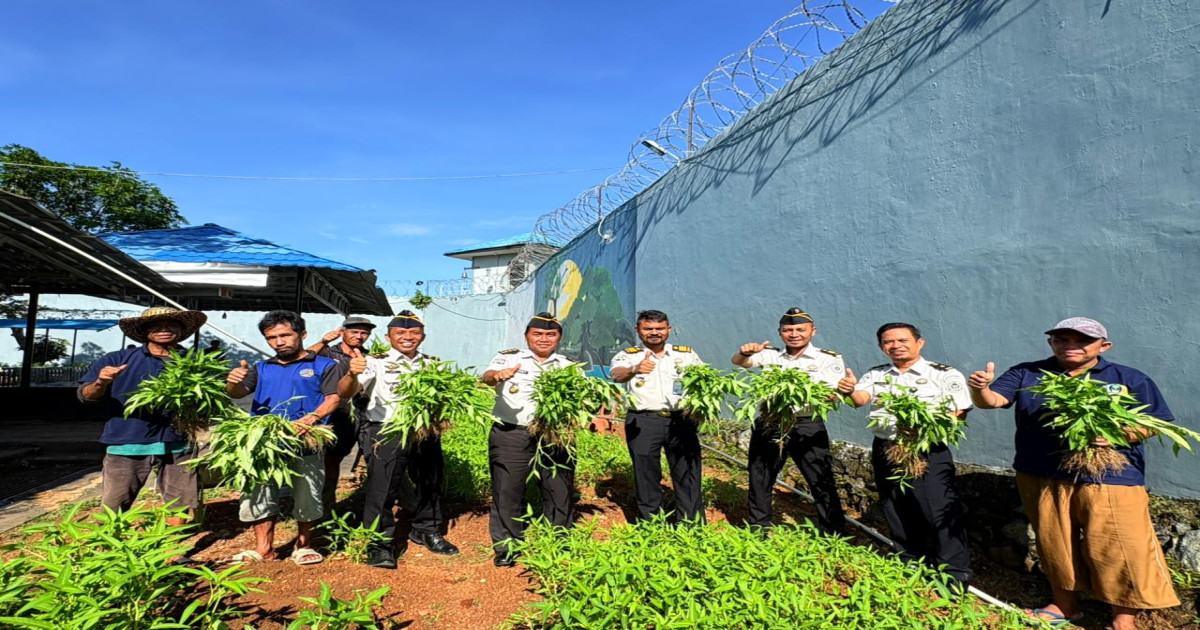 Semakin Meningkat, Lapas Narkotika Karang Intan Panen 103 Kg Kangkung di SAE 1